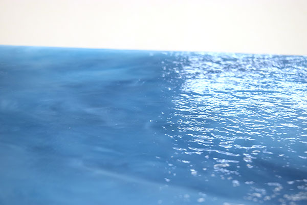 激安!スペクトラム(SPF)オパールセント