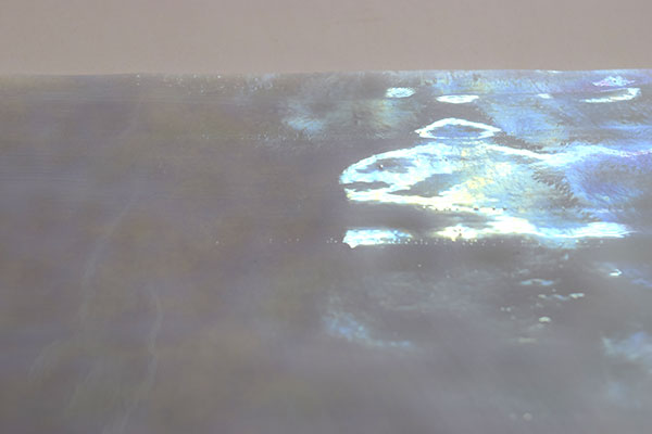 激安!ヤカゲニー S