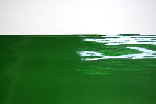 激安!スペクトラム(SPF)ウォーター