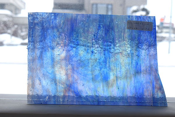 激安!ヤカゲニー　S