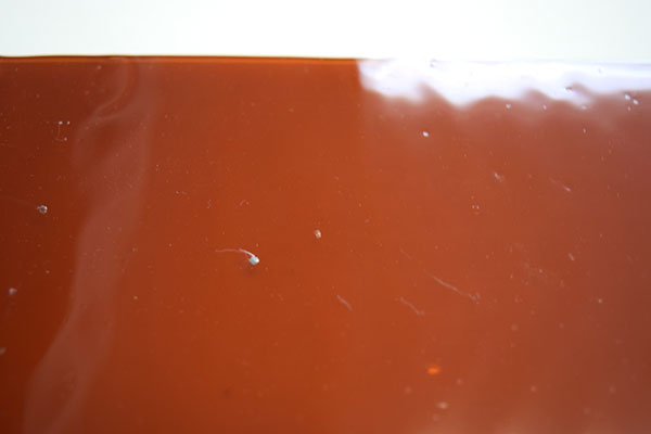 激安!ランバーツ オパック