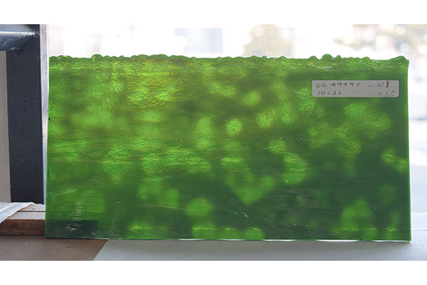 激安!ヤカゲニー S