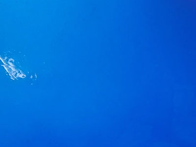 ランバーツ オパック