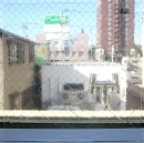 スペクトラム(SPF)アーティック