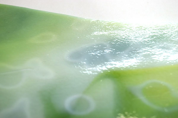 激安!ヤカゲニー S