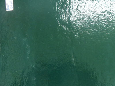 ブルズアイ フュージング BUF (3mm厚)