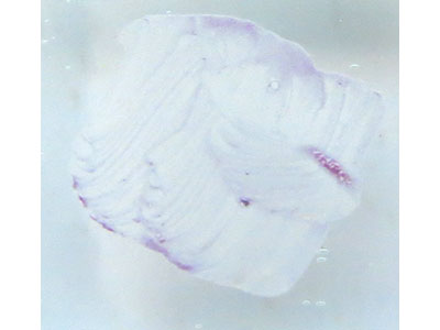 OPローズピンク