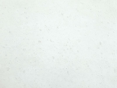 ランバーツ アンティックレギュラー