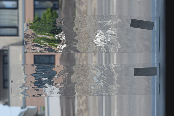 激安!スペクトラム(SPF)ウォーター