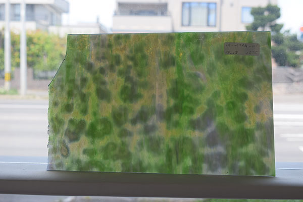 激安!ヤカゲニー G