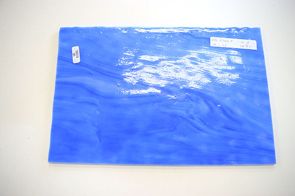 激安!ヤカゲニー S