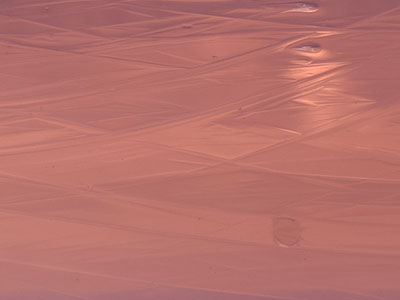 ランバーツ オパック