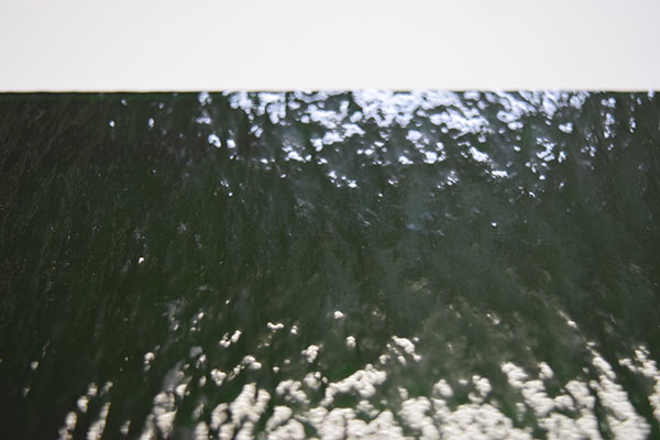 激安!スペクトラム(SPF)ラフロール