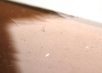 ランバーツ オパック