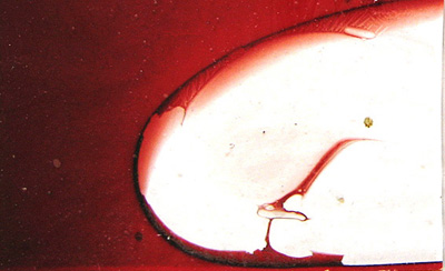 ランバーツ バリゲイト