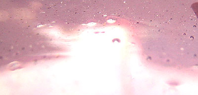 ランバーツ アンティックレギュラー