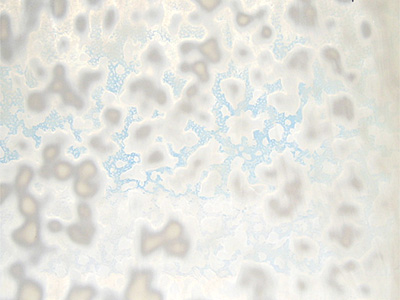 ブルズアイ リングモトル