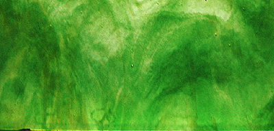 ヤカゲニー スティップル