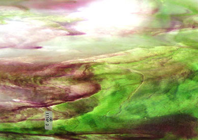 ヤカゲニー スティップル